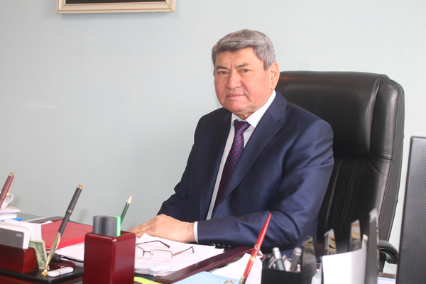 анарбек орман