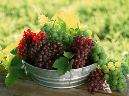 red_grapes_Wallpaper_sald