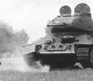 tank nemis