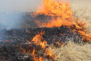 Ұлытау ауданында дала өртінен 23 жастағы жігіт қаза тапты