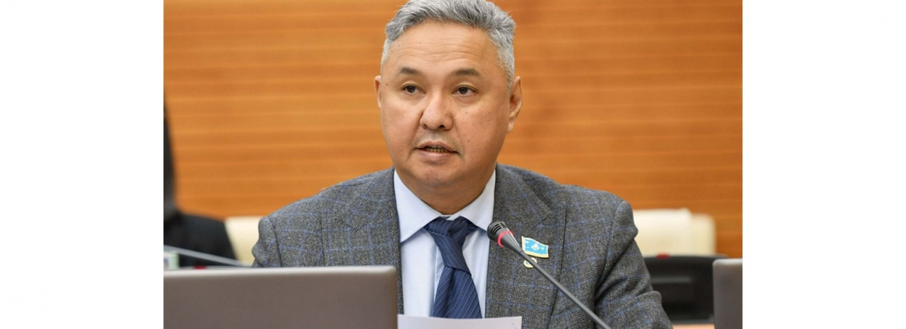 «Ақ жол»: Салықшылар шағын бизнесті емес, офшор олигархтарын қысу керек