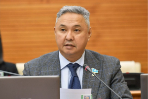 «Ақ жол»: Салықшылар шағын бизнесті емес, офшор олигархтарын қысу керек