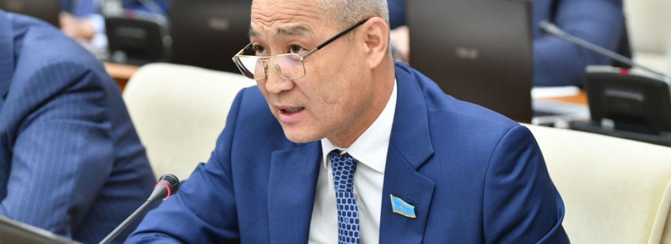 Шетелдік гранттар арқылы қаржыландырылатын жобалар мен ұйымдардың қызметін бақылау механизмдерін жетілдіру қажет - Еділ Жаңбыршин