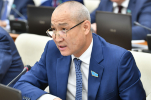 Шетелдік гранттар арқылы қаржыландырылатын жобалар мен ұйымдардың қызметін бақылау механизмдерін жетілдіру қажет - Еділ Жаңбыршин