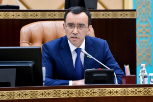 Мәулен Әшімбаев: ХХІ ғасырдағы ұлттың жаңа сапасы – реформалардың басты мақсаты