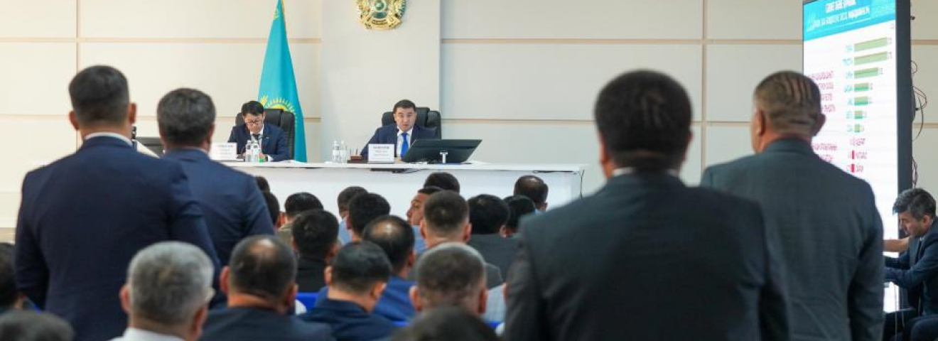 ТҮРКІСТАН: ТӨЛЕБИДІҢ ЭКОНОМИКАЛЫҚ ЖӘНЕ ТУРИСТІК ӘЛЕУЕТІН КӨТЕРУ ЖОЛДАРЫ ҚАРАЛДЫ