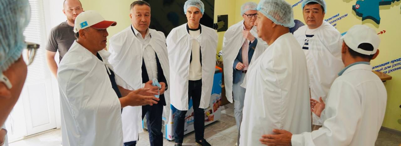 ЖЫЛЫ ЖҮЗДЕСУЛЕР ЖАЛҒАСЫН ТАПТЫ