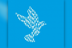 Влияние пропаганды ЛГБТ вызывает тревожность в обществе – результаты исследования