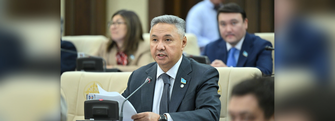 "Ақ жол" демпартиясы салықтық тәуекелдердің құпия критерийлерін жоюды талап етеді