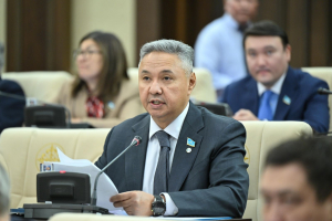 "Ақ жол" демпартиясы салықтық тәуекелдердің құпия критерийлерін жоюды талап етеді