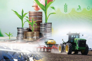 Ауыл шаруашылығының жалпы өнім көлемі 3,4%-ға өсіп, 3,6 трлн теңгеге жетті