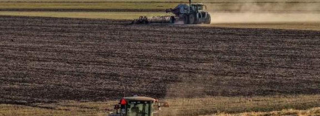 Қазақстанда 14,8 млн тонна астық бастырылды