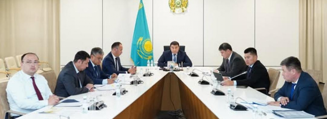 Түркістан облысында орман қоры ұлғайып келеді