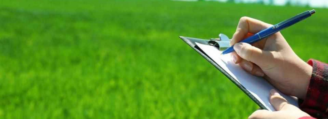 6,2 млн гектар қайтарылған жер ұқыпты игерушілерге берілді