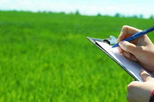 6,2 млн гектар қайтарылған жер ұқыпты игерушілерге берілді