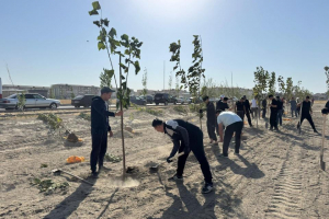 Құтқарушылардың жасыл миссиясы: ТЖМ мерейтойына орай 30 игі іс