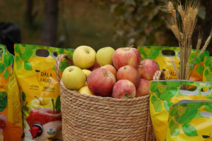 Астанада ФАО-ның 80 жылдығы мен Дүниежүзілік азық-түлік күніне арналған Алма фестивалі өтті