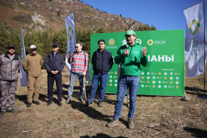 Іле Алатауы ұлттық паркінде 625 шырша егілді