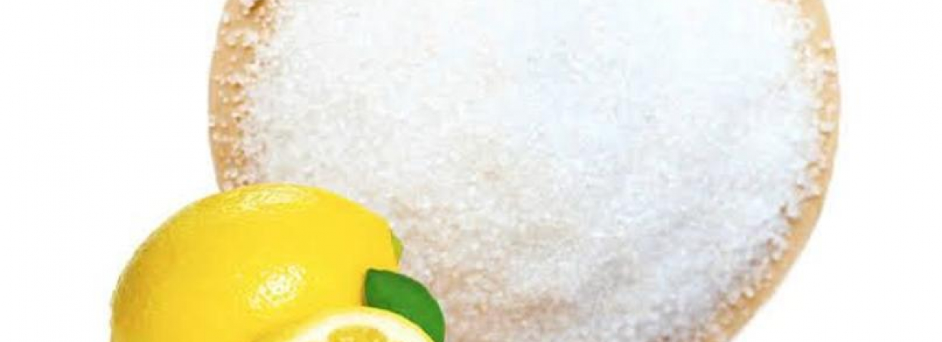 Қостанай облысында глютен мен лимон қышқылын өндіретін кешен салынады