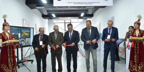 Биоалуантүрлілікті сақтау – ҚазҰУ-дың жаңа бастамасы