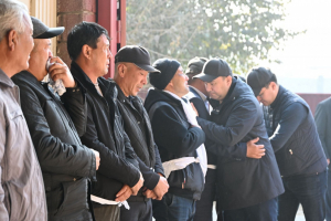 «Тергеу басталды!»: Жетісайдағы 12 адамның қазасына байланысты облыс әкімі мәлімдеме жасады