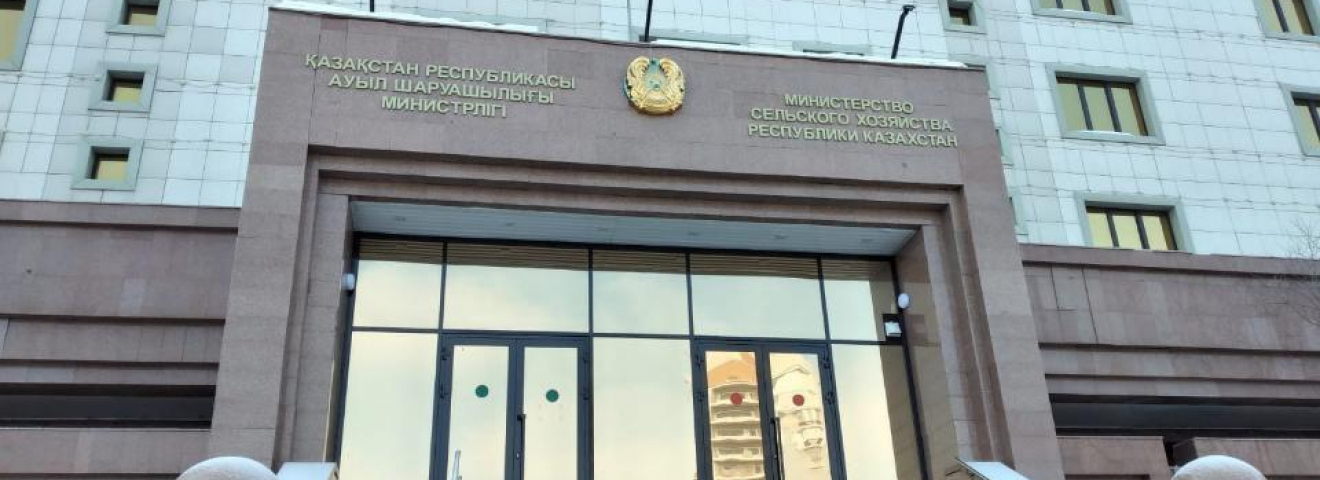 АШМ-де сиыр еті экспортына енгізілген шектеулер түсіндірілді