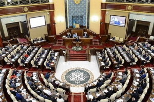 Жаңа Парламенттегі мандат саны 145 болуы мүмкін - Ұлттық құрылтай