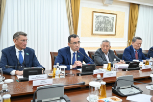 Сенат Төрағасы: Мемлекет басшысының конституциялық реформасы – мемлекет құрылысын дамытудың жаңа кезеңі