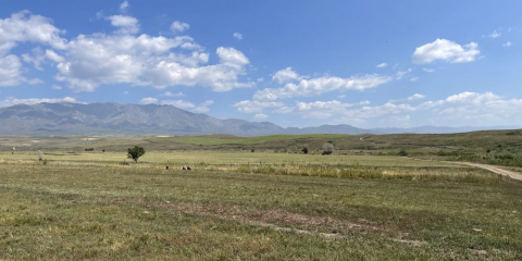 Шетелдіктерге жер сатуға тыйым салудың күшін жою туралы мәлімдемелердің құқықтық негізі жоқ