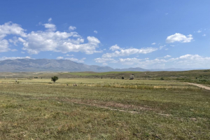 Шетелдіктерге жер сатуға тыйым салудың күшін жою туралы мәлімдемелердің құқықтық негізі жоқ