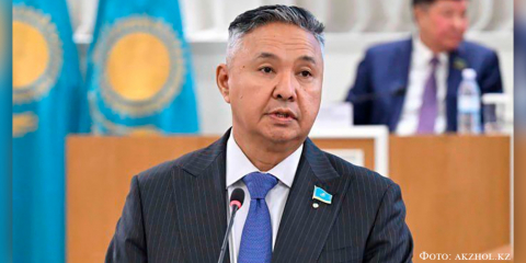 Конституциялық реформа билік жүйесіндегі теңгерімді күшейтеді – Перуашев