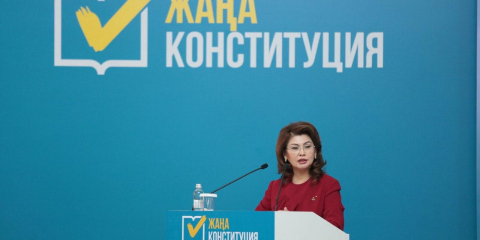 Аида Балаева: Тарихи-мәдени мұраны сақтау конституциялық қағидаттар деңгейіне көтерілді