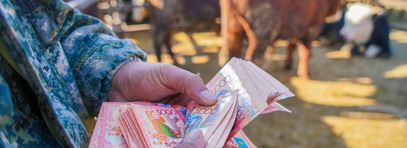 4 пәтер, 11 көлік және жер телімдері: Көкшетауда мемлекеттік субсидияларды заңсыз алғандар әшкере болды