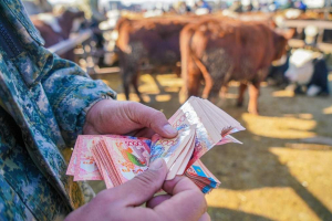 4 пәтер, 11 көлік және жер телімдері: Көкшетауда мемлекеттік субсидияларды заңсыз алғандар әшкере болды