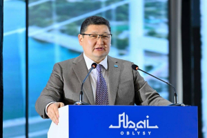 Мен әкім болып тұрғанда ешбір ауыл жабылмайды — Берік Уәли