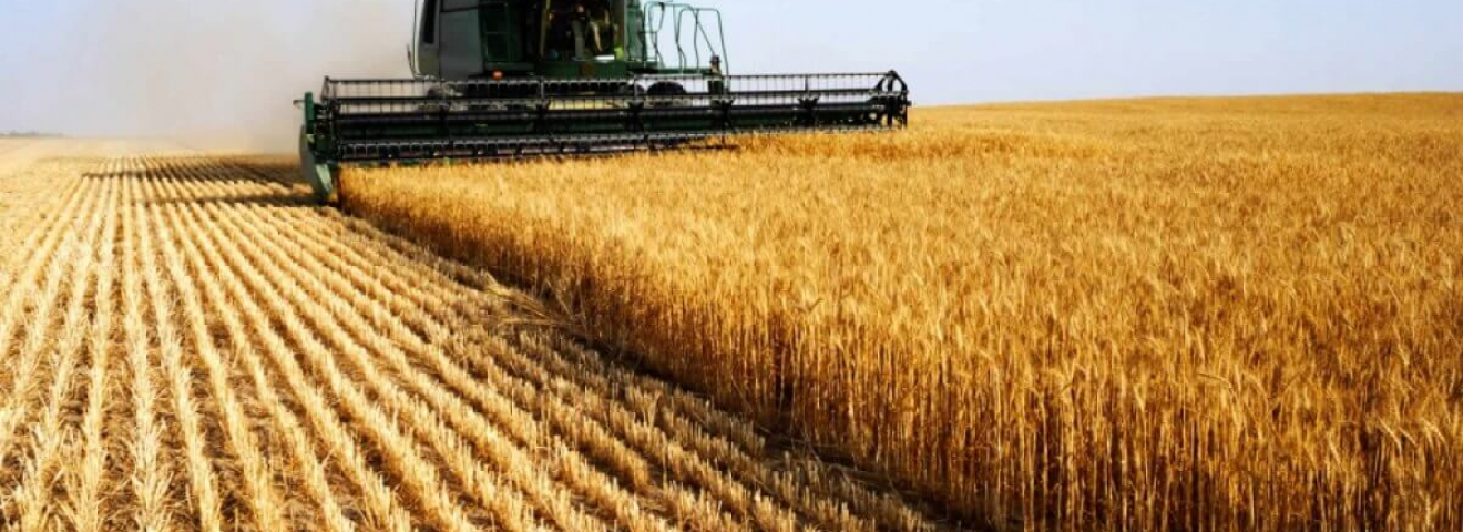 АШМ:ҚАЗАҚСТАН МОЛ ПАЙДА ӘКЕЛЕТІН ДАҚЫЛДАРДЫ ЕГУГЕ БАСЫМДЫҚ БЕРМЕК