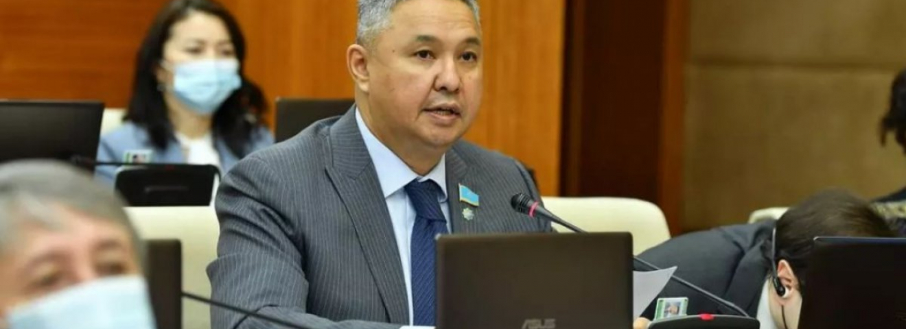 Азат Перуашев Үкіметтің экономикалық саясатын сынға алды