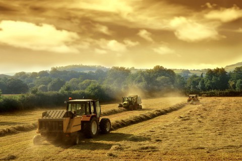 Развал сельского хозяйства: есть ли выход?