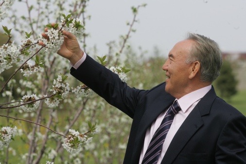Н. Назарбаев: Жерді жалға беруге мораторий 2-3 жылдан кейін алынып тасталуы мүмкін