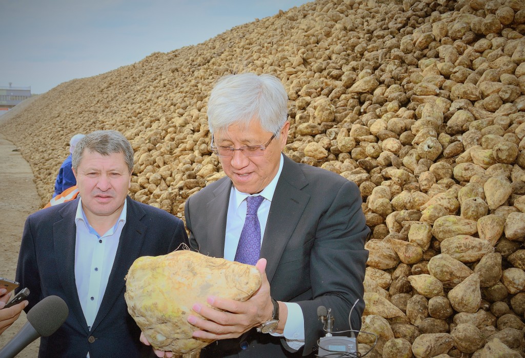 В Алматинской области получен первый сахар нового урожая