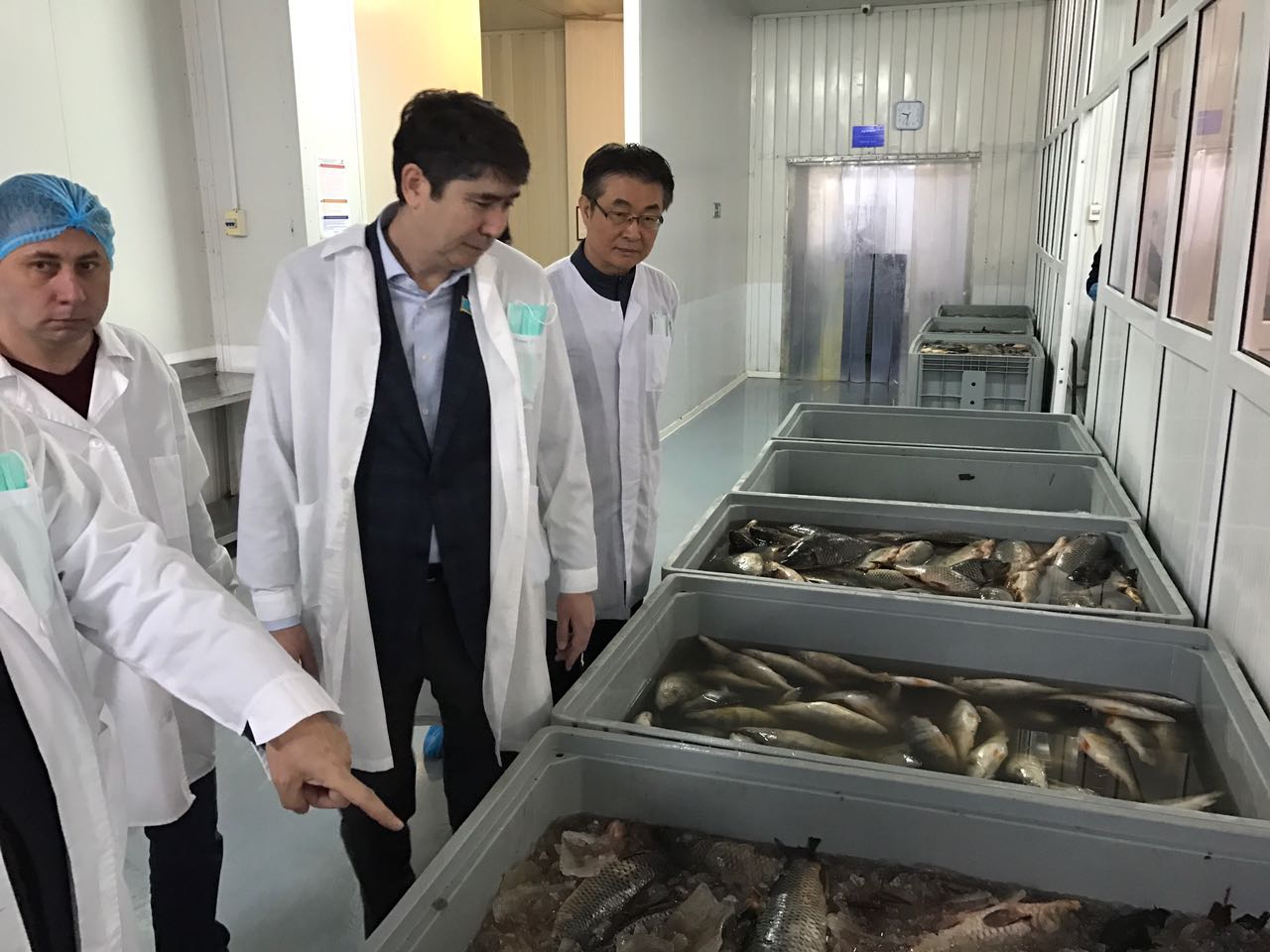 Мәжіліс депутаты Ерлан Барлыбаев Қапшағай балық өңдеу зауытының жұмысымен танысты