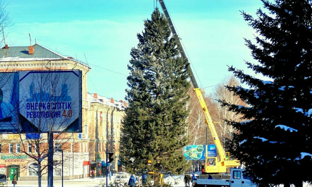 Тәуелсіздік күні өтпей Жаңа жалдық шырша орнатылып қойды