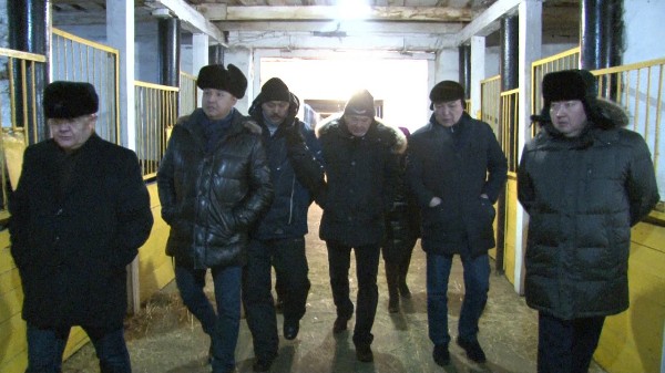 Азат Перуашев: "Қазақ тұлпары" - біздің бренд