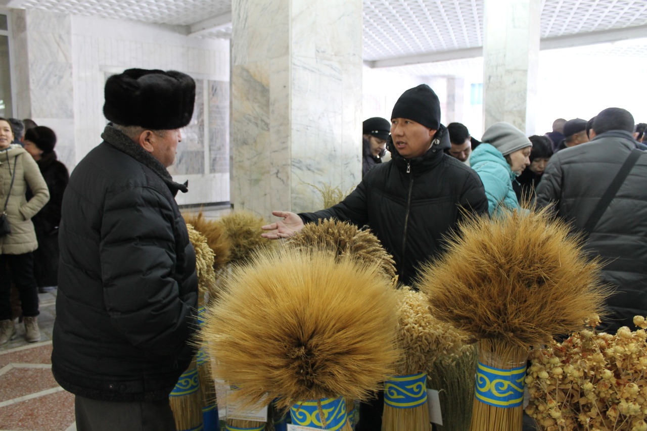 Алматы облысының фермерлері тұқым мен тыңайтқыштарды 20% арзан сатып алу мүмкіндігіне ие болды