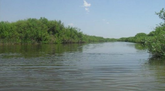 Экологтар Жайық өзенінің неден ластанғанын анықтады