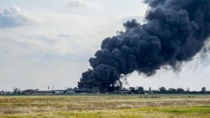 Арман СҚАБЫЛҰЛЫ: ОЛАР «СОҒЫСТЫ»  КӨРДІ...