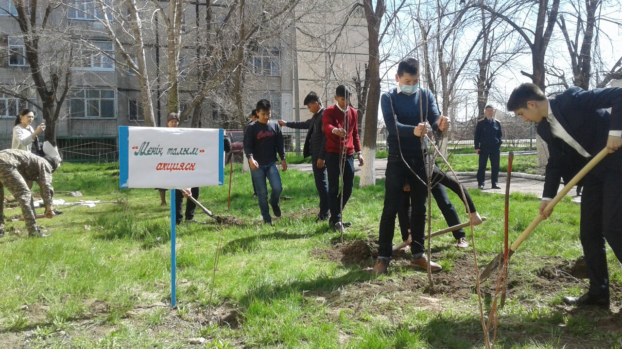 Жамбылдықтар көгалданыру ісіне белсене қатысты