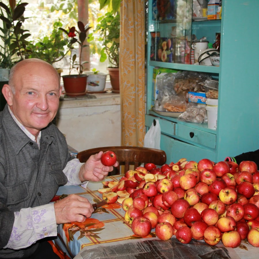 Как угас «библейский райский сад» в горах Алатау