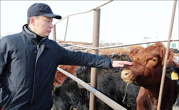 Қырылып жатқан мал үшін Мамытбеков жауап бермегенде кім жауап береді?!.