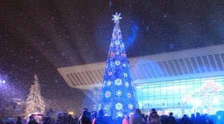 Өзге елден енген жаңа жыл мерекесі асқақ арманымыз Тәуелсіздік күнін тойлауға кедергі болды